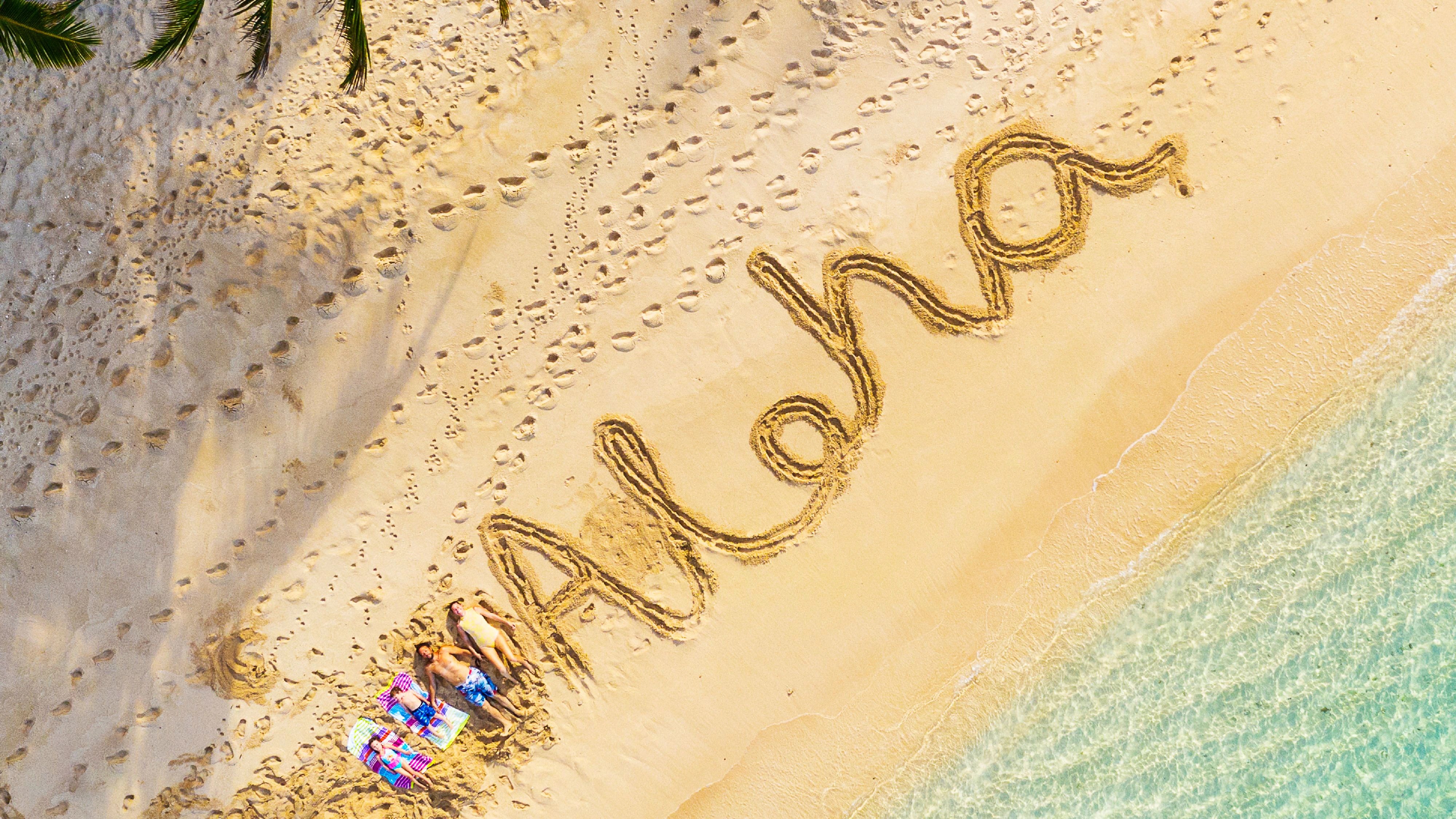 ohana adventure net worth