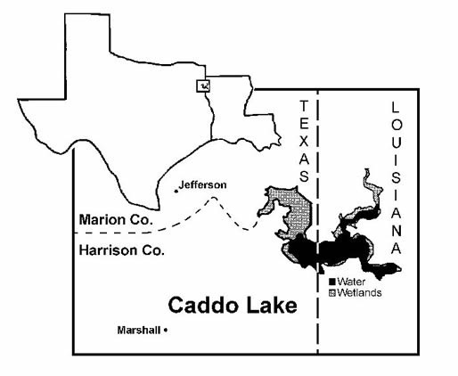 Map Of Caddo Lake