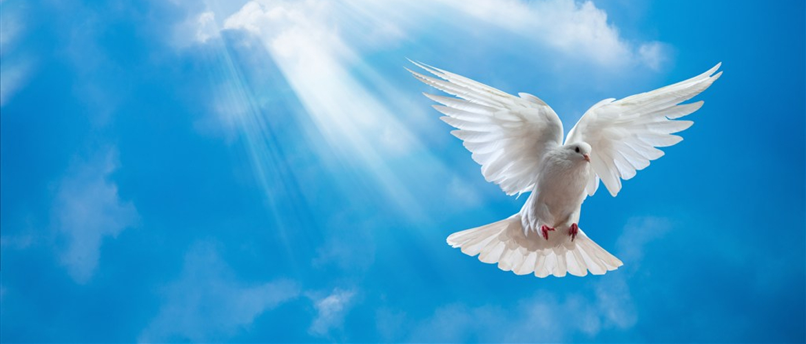 PENUNDUKAN KEPADA KEHENDAK ALLAH - Cahaya Pengharapan Ministries