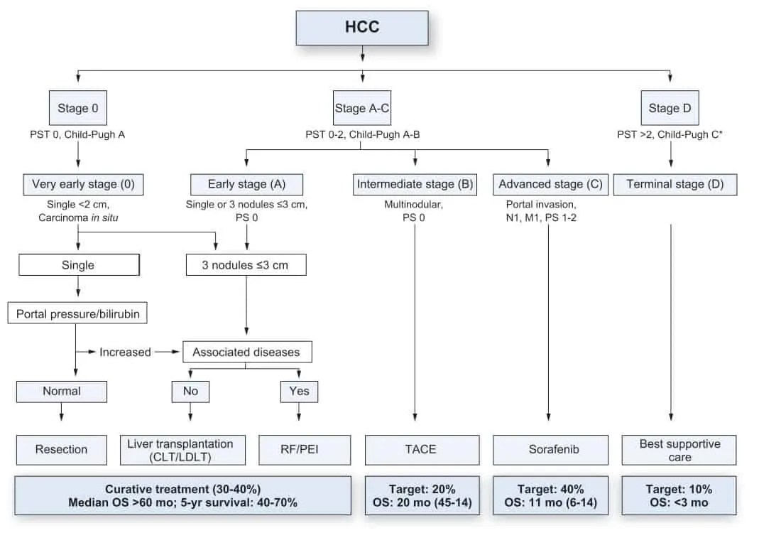 Diagnosis dan Pengobatan Kanker Hati atau Hepatocellular Carcinoma (HCC) –  Kedokteran – Caiherang