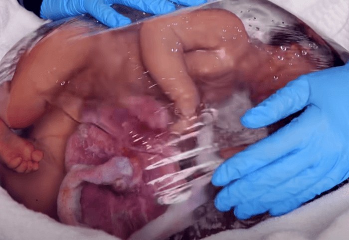Bebês Reborn