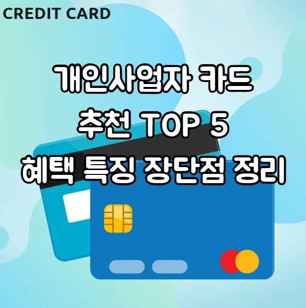 개인사업자 카드 추천 TOP 5 혜택 특징 장단점 정리