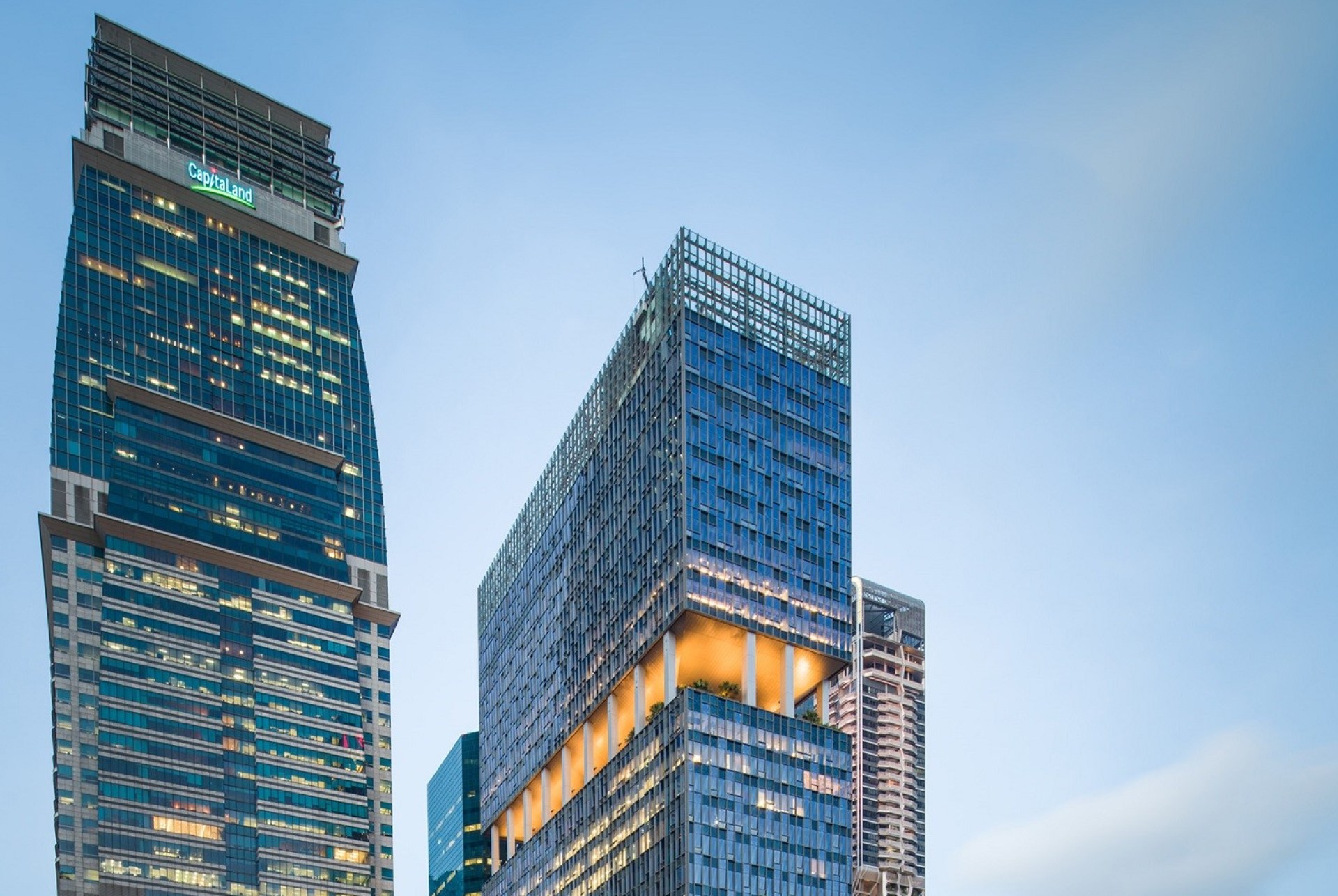 CLI to rebalance portfolio, grow India and South-east Asia businesses