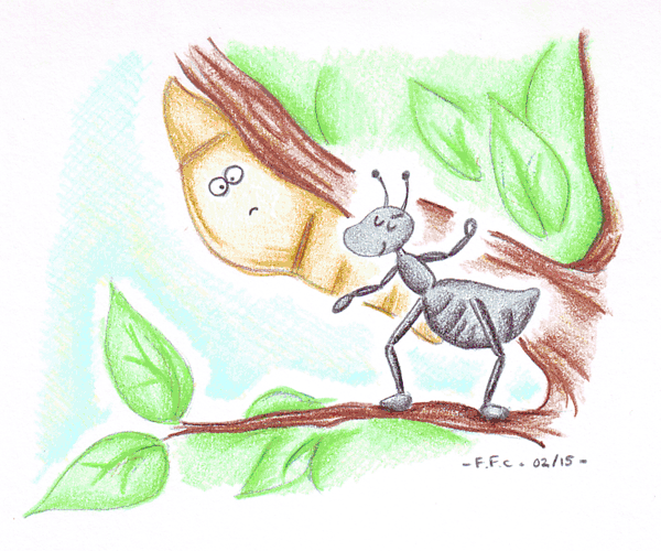 Semut dan Kepompong | Cat’s Office