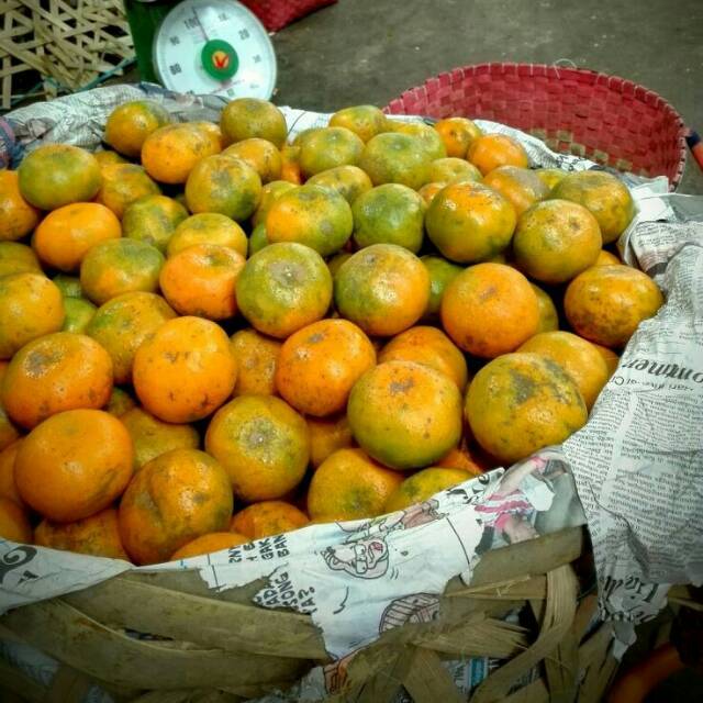 Cara Memilih Buah Jeruk Lokal yang Manis dan Banyak Airnya. Bisa Dicek dari  Tekstur Kulitnya