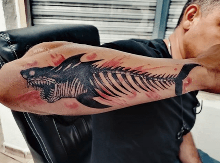 Cool Shark Tattoo Design Ideas For Men And Women | Tattoos Wizard 323_x_435_jpg