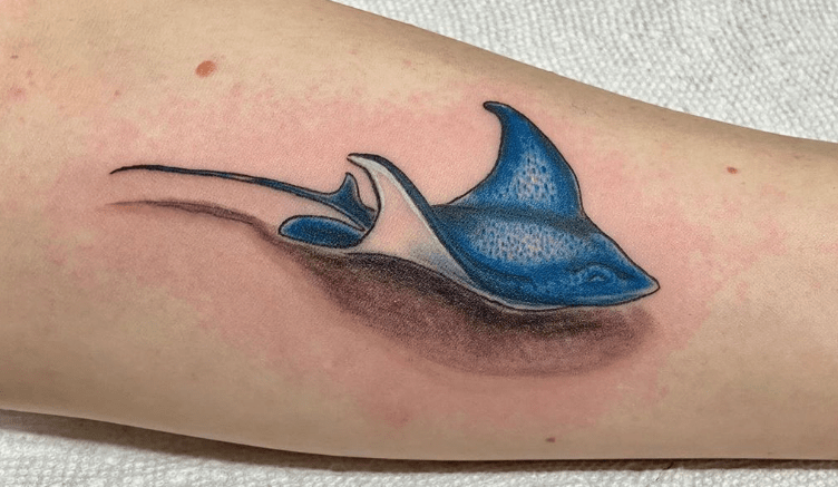 Everything You Wanted To Know About: Stingray Tattoos | Tattoos Wizard 437_x_752_jpg