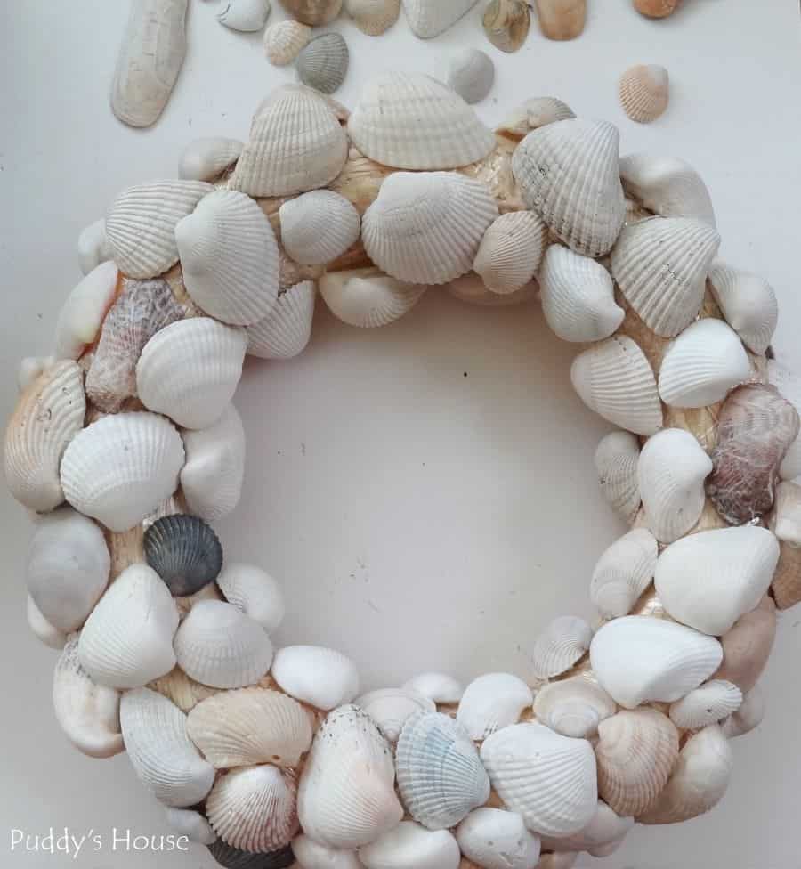 Lovely Seashell Crafts For Summer