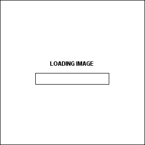 Loading Animated Gif Download Vector