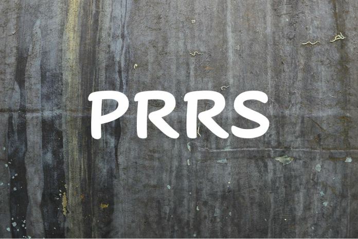 NAPPRS: Advances in PRRS analysis