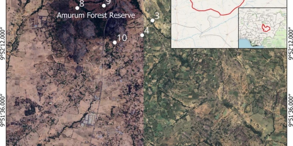 Nigerian researchers discover Sindbis virus in wild birds for first time Nigerian researchers discover Sindbis virus in wild birds for first time