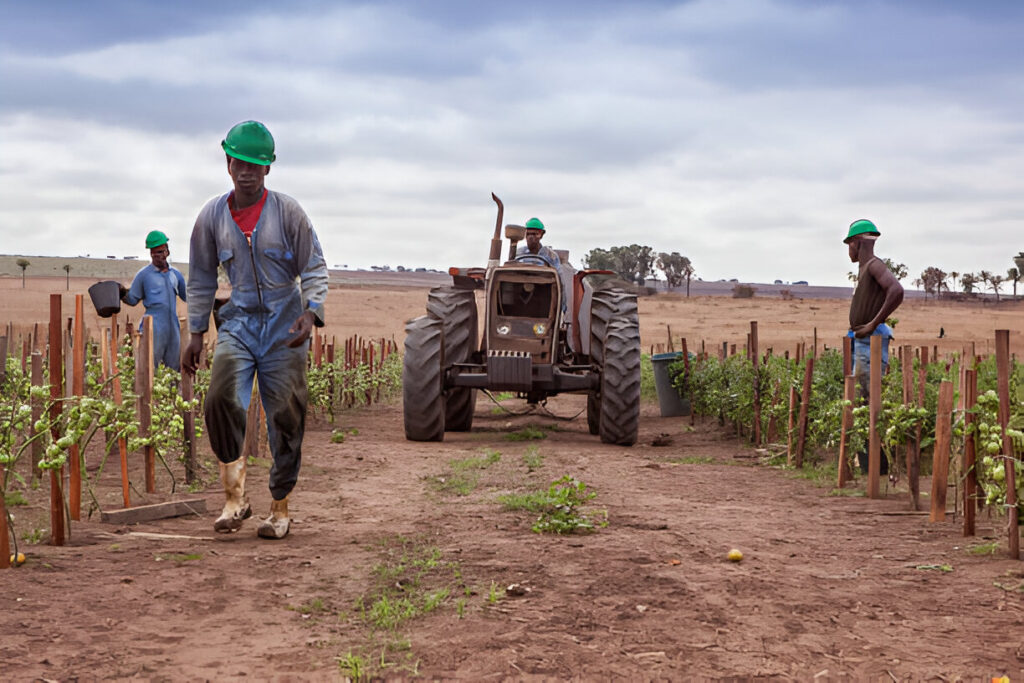 Farmers chart path to agric sector’s success in 2026 Farmers chart path to agric sector’s success in 2026