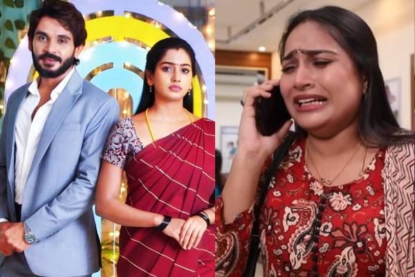 7வது வார டிஆர்பியில் டாப் 5 இடம் பிடித்த சீரியல்கள் எவை?- முழு விவரம் இதோ 7வது வார டிஆர்பியில் டாப் 5 இடம் பிடித்த சீரியல்கள் எவை?- முழு விவரம் இதோ
