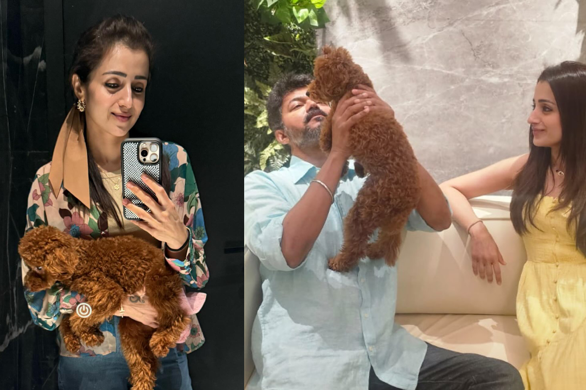 திரிஷா பற்றிய முக்கிய ரகசியத்தை போட்டுடைத்த விஷ்ணு விஷால்! கோபப்பட மாட்டார் என நம்புறேன்.. திரிஷா பற்றிய முக்கிய ரகசியத்தை போட்டுடைத்த விஷ்ணு விஷால்! கோபப்பட மாட்டார் என நம்புறேன்..