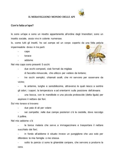 Api 241_x_170_jpg
