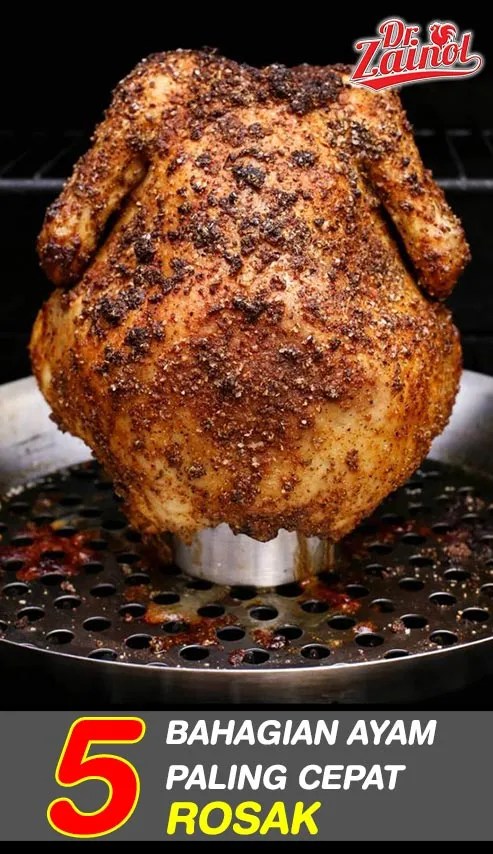 5 Bahagian Ayam Yang Paling Cepat Rosak Jcom Frozen