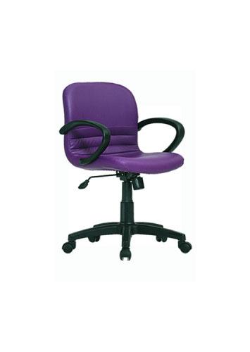 Meeting Chair Primay
