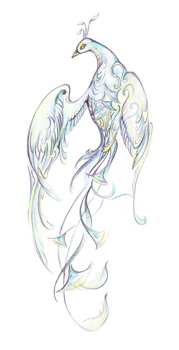 Cara Menggambar Burung Fantasi Yang Elegan Dengan Pensil Warna 1169_X_600_jpg
