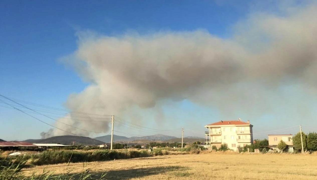 İzmir'de sanayide çıkan yangın ormana sıçradı