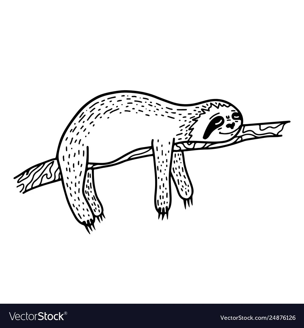 Top 32+ Background Images how to draw a sloth hanging from a tree Stunning