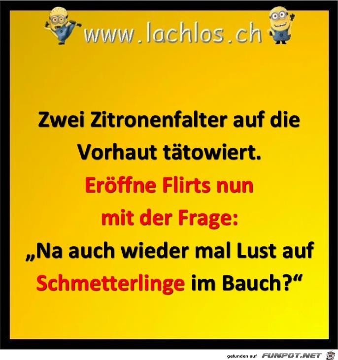 Schmetterlinge