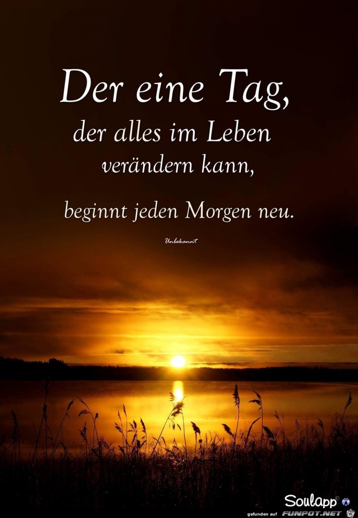 10 Schone Spruche Und Lebensweisheiten Aus