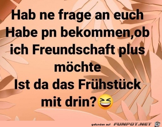 Freundschaft Plus