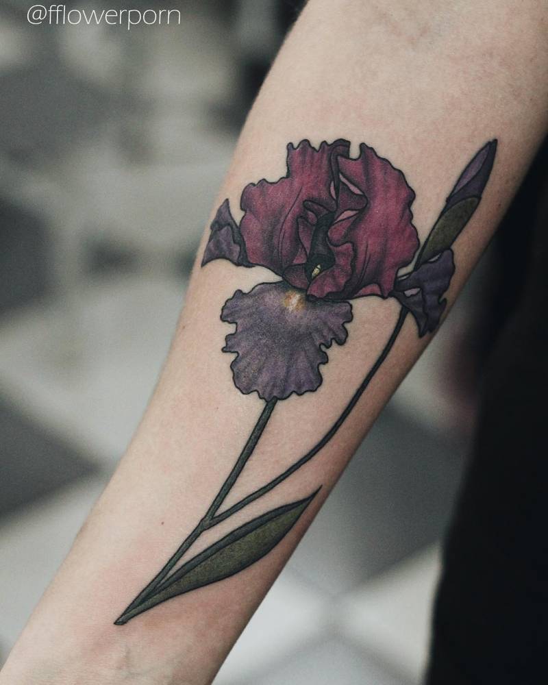 Iris Tattoos | Tattoofilter 1000_x_800_jpg