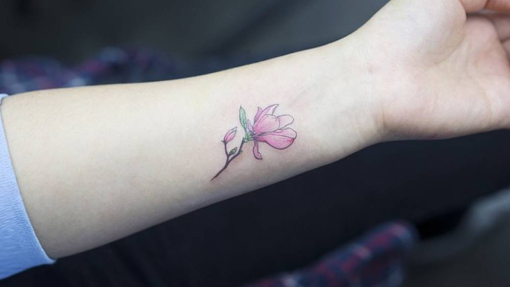 Illustrative Style Magnolia Flower On The 562_x_1000_jpg
