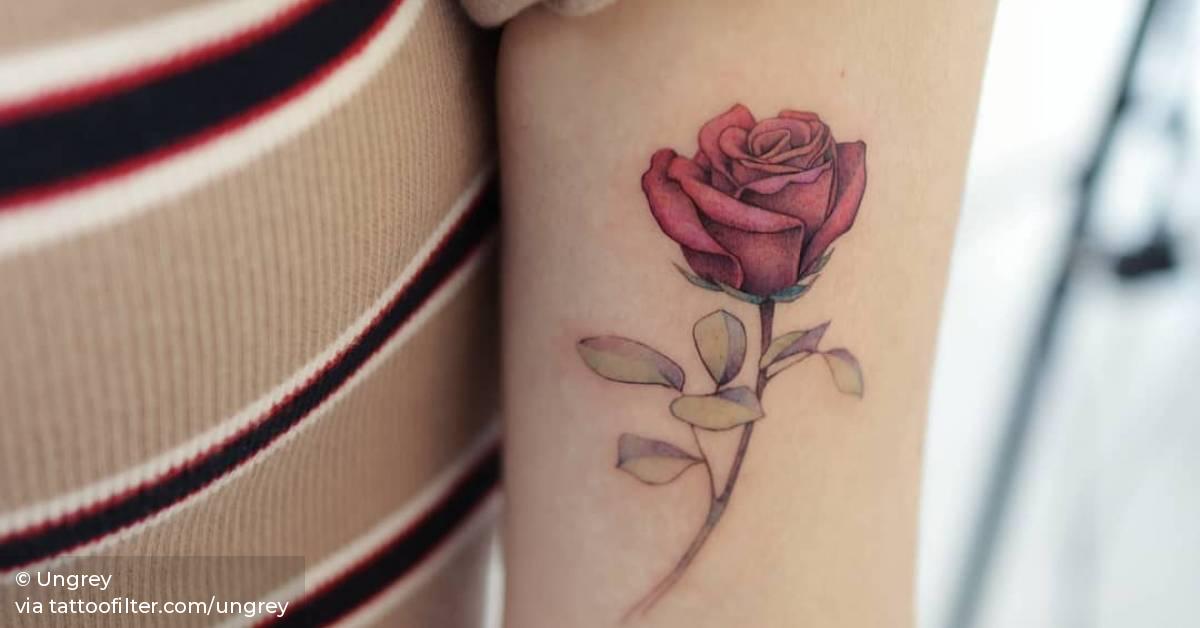 Red Rose Tattoo On The Bicep. 628_x_1200_jpg