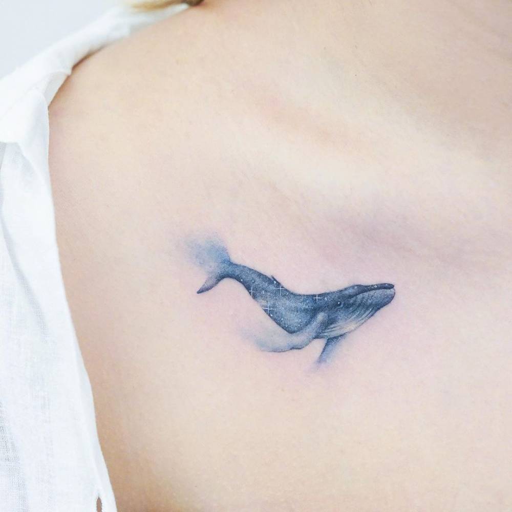Whale 1000_x_1000_jpg