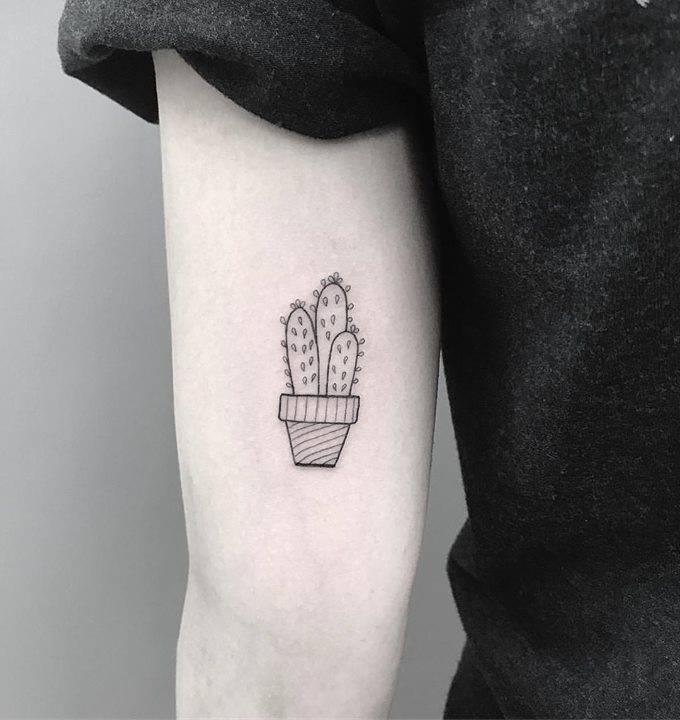 Cactus Tattoo On The Inner Arm. 720_x_680_jpg