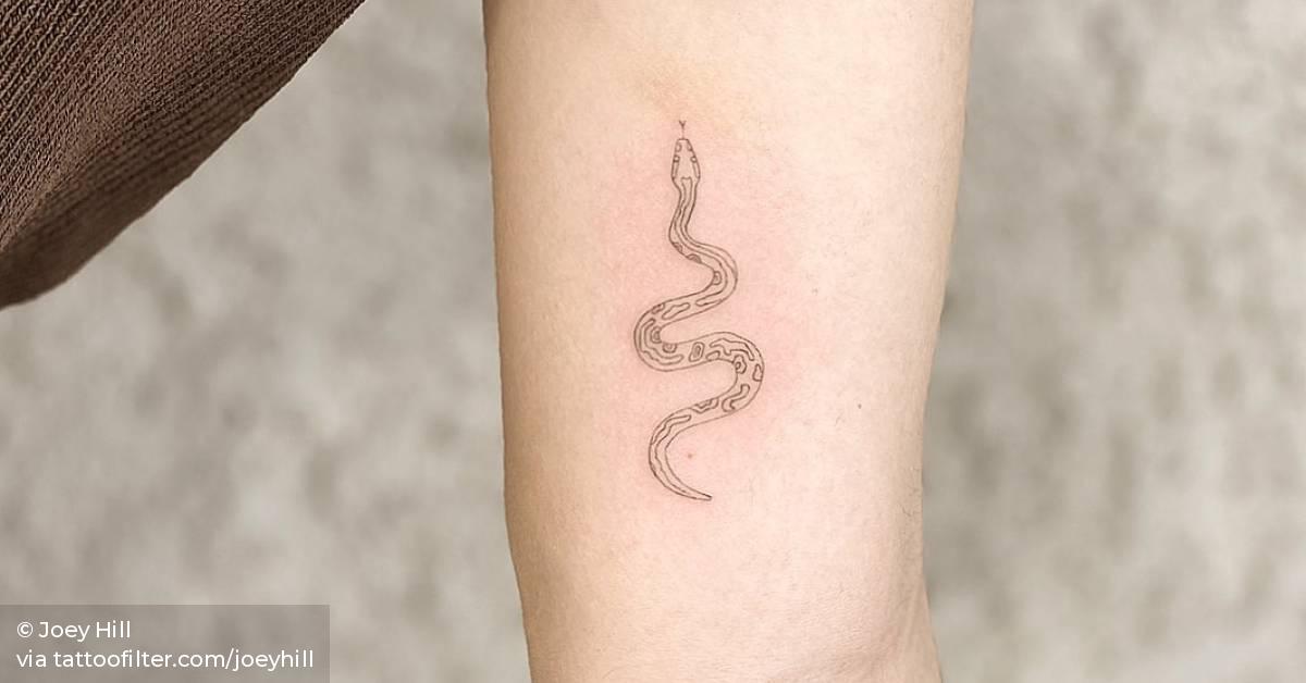 Ball Python~ 628_x_1200_jpg