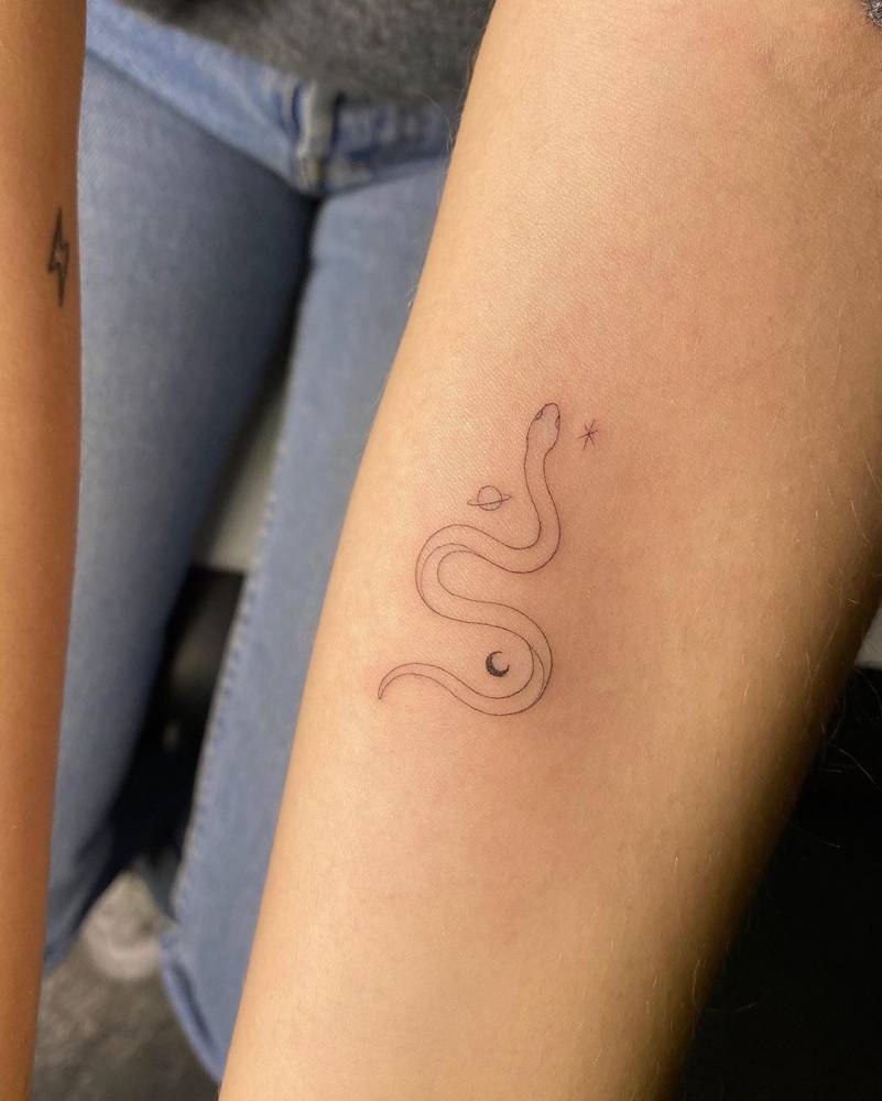 Single Needle Snake Tattoo On The Inner Forearm. 1000_x_801_jpg