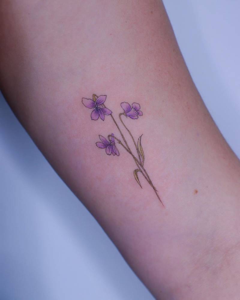 Violet Flower, Simple Is Pretty. Did You Guess It 1000_x_800_jpg