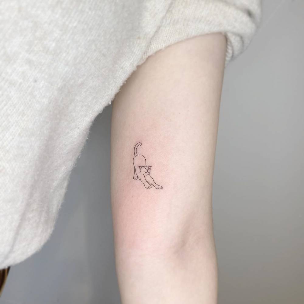 Fine Line Cat Tattoo On Inner Arm 1000_x_1000_jpg