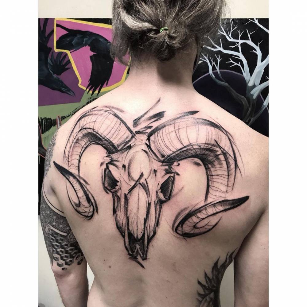 Sketch Work Ram Skull Tattoo On The Upper Back. 1000_x_1000_jpg