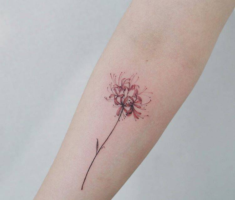 Vadon Ismerkedés Jégeső Spider Lily Tattoo - Sarac-Cosmetic.com 637_x_750_jpg
