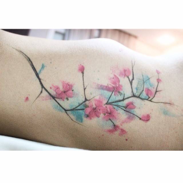 Watercolor Style Cherry Blossoms On The Ribs. 640_x_640_jpg