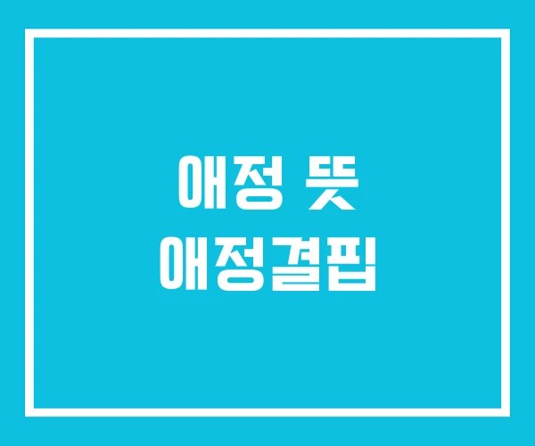애정 뜻 애정결핍