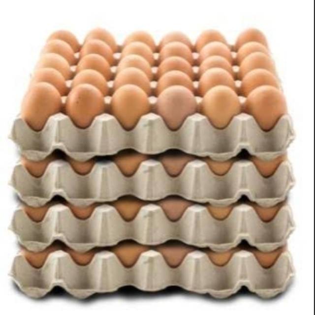 Telur ayam negeri 30 butir ( 1 papan ) | Shopee Indonesia