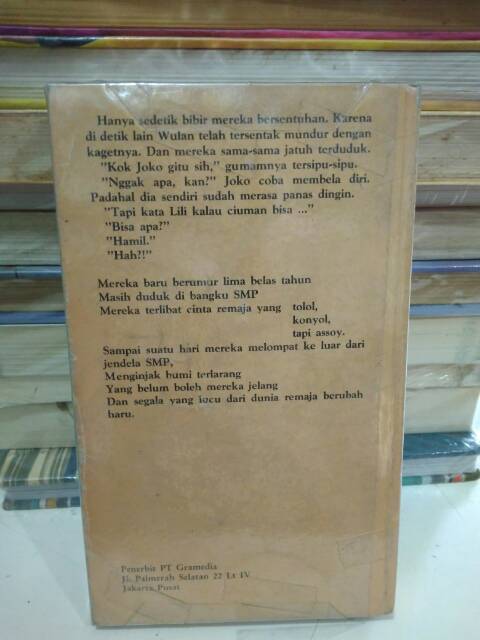 NOVEL DARI JENDELA SMP | Shopee Indonesia