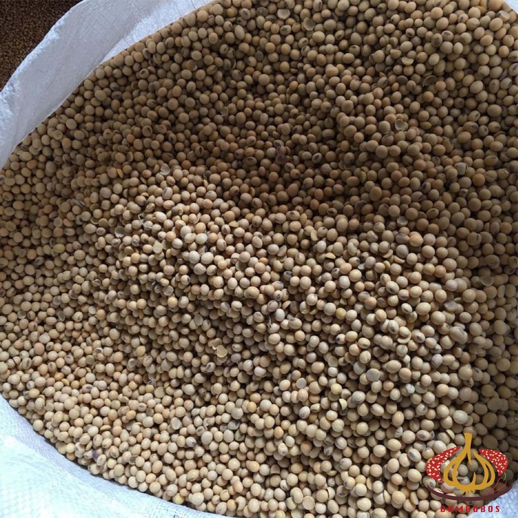 Kacang Kedelai Soy Bean 1 Sak Karung Ball 25 kg | Shopee Indonesia