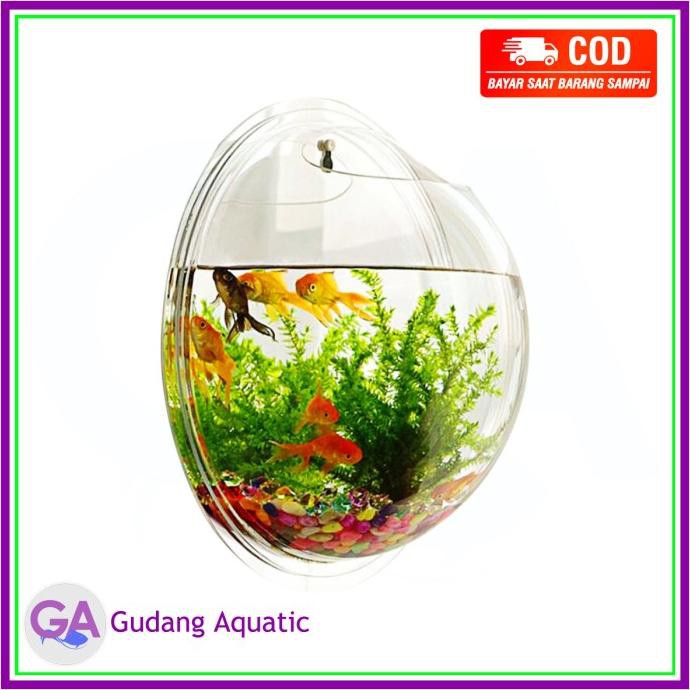 Harga Aquarium Dinding Acrylic Terbaru Oktober 2021 | BigGo Indonesia