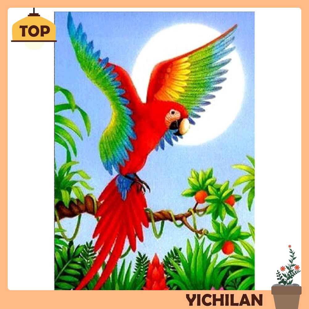 69+ Contoh Gambar Burung Kakak Tua Kartun Berwarna - Mymeku 1001_X_1001_jpg