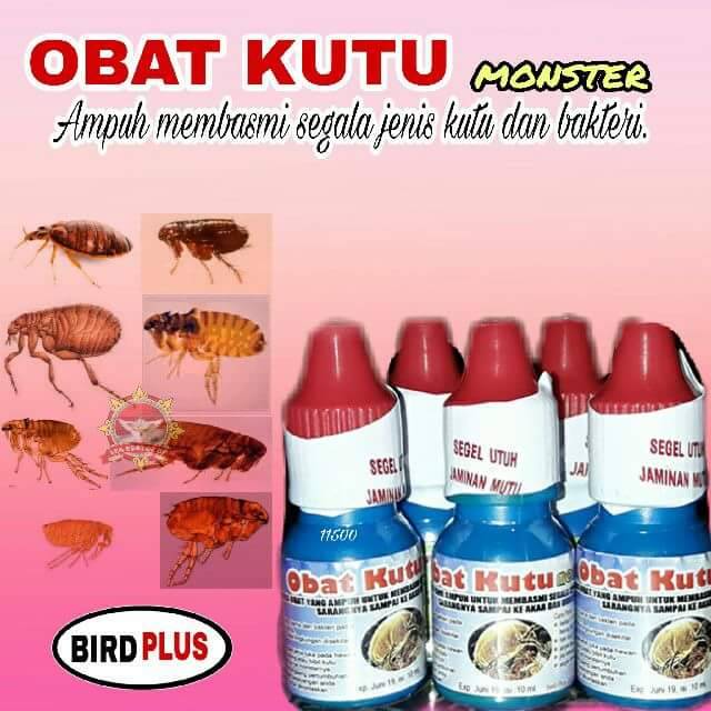 OBAT KUTU Burung, Ayam dan Hewan Lainnya by BirdPlus 100% Tuntas | Shopee  Indonesia