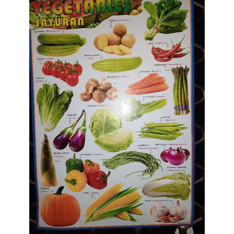 Poster Edukasi Anak Vegetables Sayuran Warna Gambar sayur mayur Bilingual  Indonesia Inggris | Shopee Indonesia