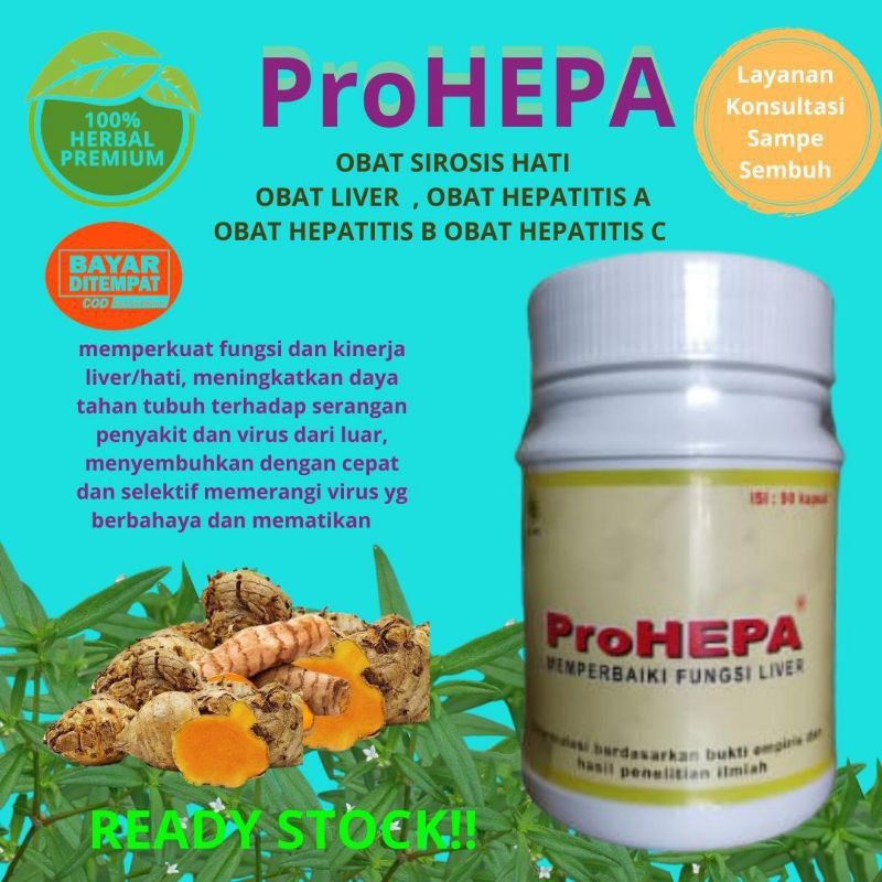 Proherpa Obat Herbal Hepatitis A, B, C, Liver Alami | Shopee Indonesia