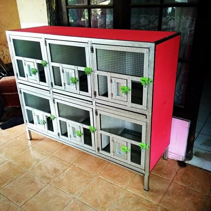 Jual [Pet] Kandang Merpati Balap Pesenan Phillip Indonesia|Shopee Indonesia 700_X_700_jpg