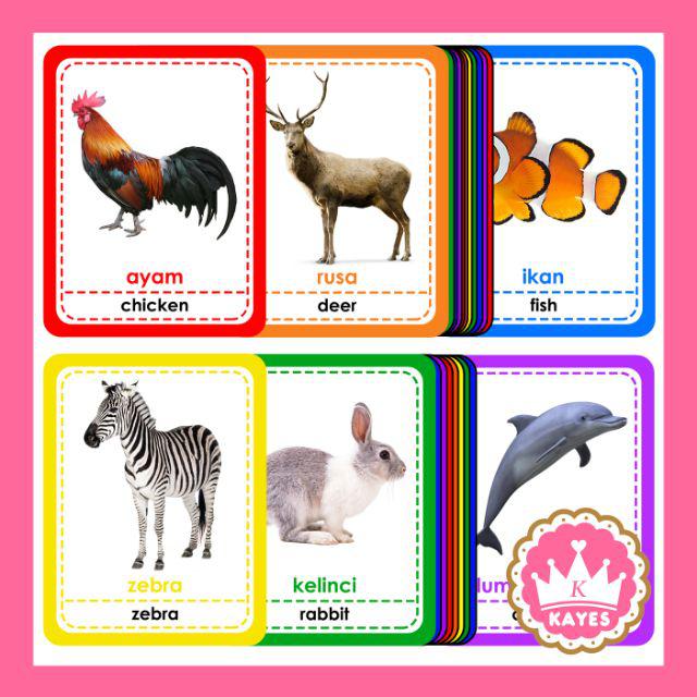 Flashcard Binatang Darat Air Udara / Alfabet Huruf / Angka . Hewan abc 123  Kartu Belajar Flash Card | Shopee Indonesia